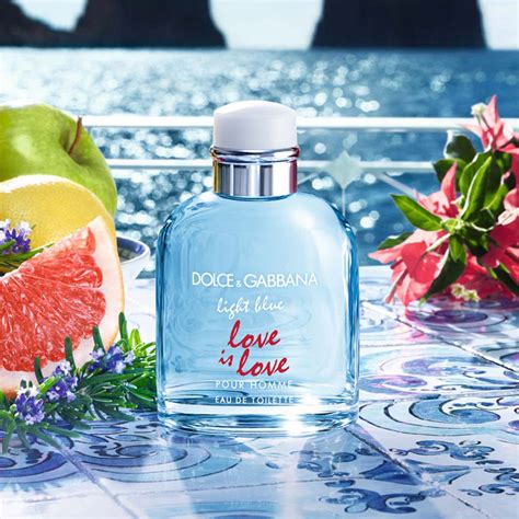 dolce gabbana love is love pour homme|Dolce & Gabbana pour homme price.